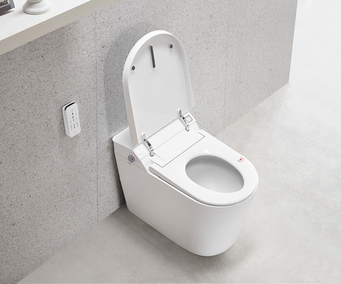 Bathroom Smart Wc Seat Ceramic One Piece S trap Water Temperature Adjustment