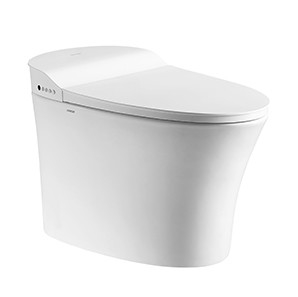 ARROW AKB1303M Modern Smart Toilet , Tankless Water Closet Floor Mounted P Trap Wc